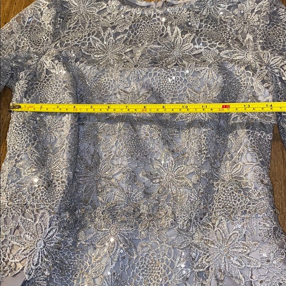Teri Jon silver metallic lace gown - Picture 16 of 16